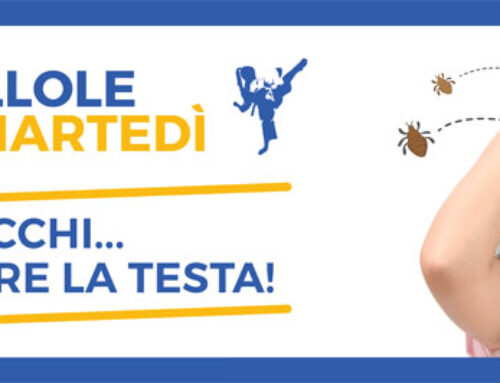 PIDOCCHI…NON PERDERE LA TESTA!