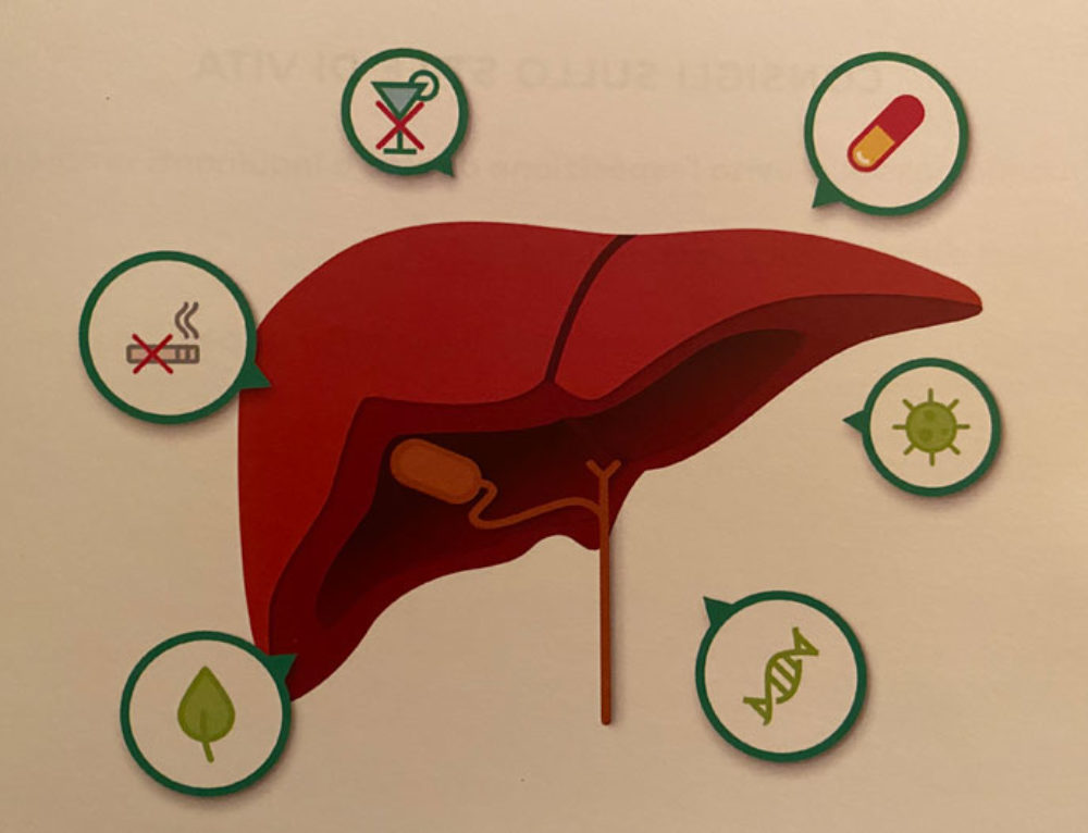 Il regista del metabolismo